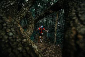 BIB: 
                            <button type="button" onclick="openModal(25677751)" class="btn btn-primary btn-sm float-right btn-popup" data-toggle="modal" data-target=".modal-high-quality">
                        <i class="fas fa-shopping-cart"></i> Add to Cart
                    </button>
                                            <button type="button" onclick="isThisMe(25677751, true)" class="btn btn-success btn-sm float-right btn-popup btn-isme hidden" data-toggle="tooltip" data-placement="bottom" title="นี่คือรูปของคุณใช่ไหม คลิกที่นี่เพื่อเอาเข้าอัลบั้ม">
                        <i class="fas fa-plus"></i> Add to album
                    </button>
                    <button type="button" onclick="isThisMe(25677751, false)" class="btn btn-warning btn-sm float-right btn-popup btn-isnotme hidden">
                        <i class="fas fa-ban"></i> Remove from album
                    </button>